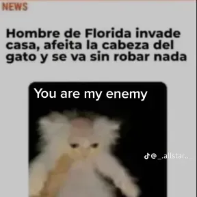 Pal vic