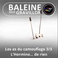 S07E165 Les as du camouflage 3/3 : L'Hermine... de rien