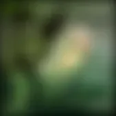 reforma.com - El ojo crítico