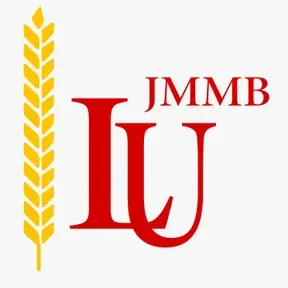 LU JMMB STEREO