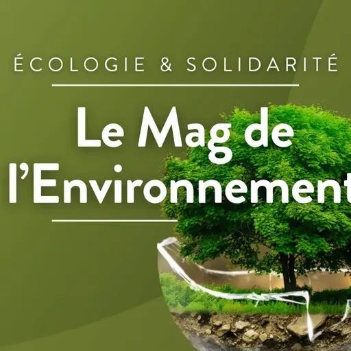 Habiter sur un terrain argileux, le risque de retrait-gonflement des sols