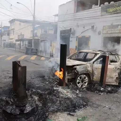 Crime profissional se combate com investigação, não com penas mais elevadas, afirma cientista político