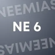 NEEMAIS 6