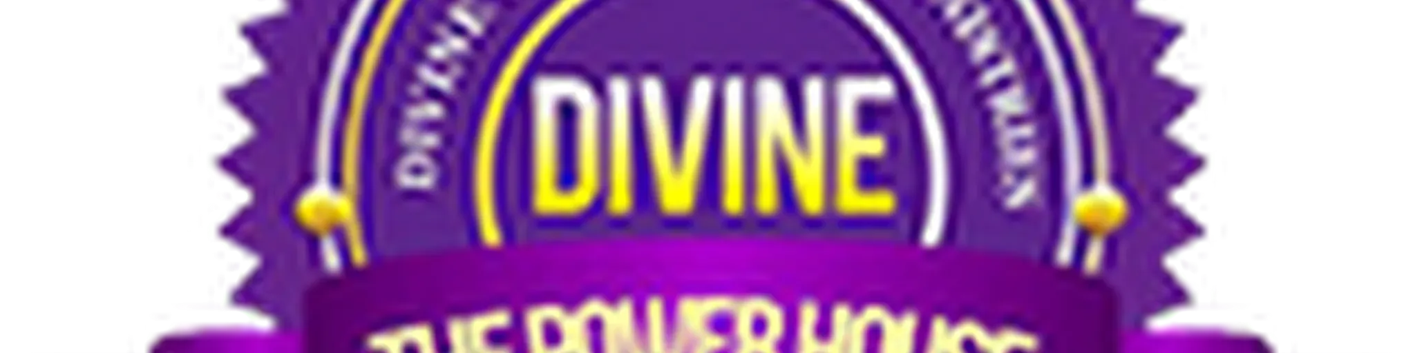 Divine Word International
