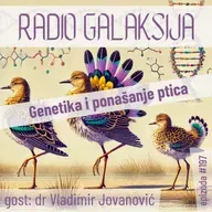 Radio Galaksija #197: Genetika i ponašanje ptica (dr Vladimir Jovanović) [25-03-2025]