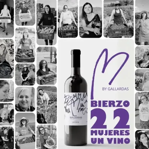 22 mujeres y un mismo vino: una historia del Bierzo