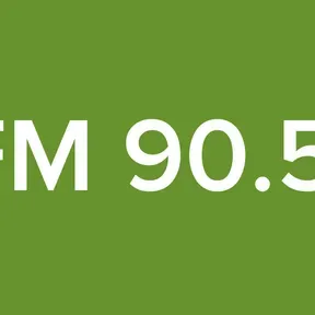 Radio Signal FM 90.5 (EX YU relay)