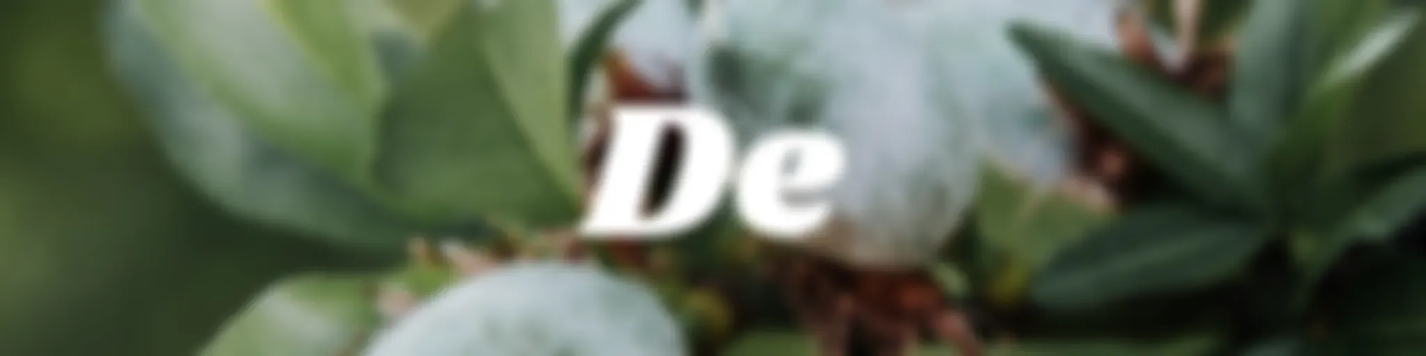 Almendras De Sabiduria