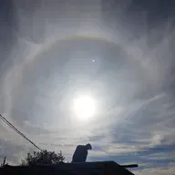 Terapias gratuitas🦋