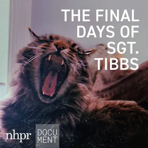 Introducing NHPR's "The Final Days of Sgt. Tibbs"