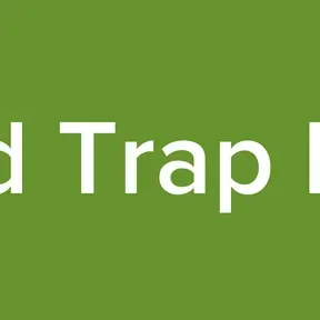 Island Trap Radio