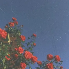 A little star radio