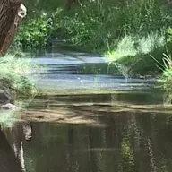 Donde el Río Se Encuentra Con el Cielo