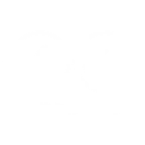 Antbvss Radio