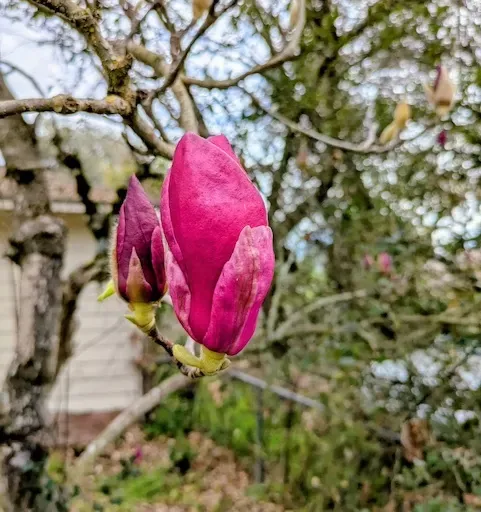 #100: Where will we hide?