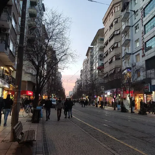 Bölüm 7 - Yalnızlık