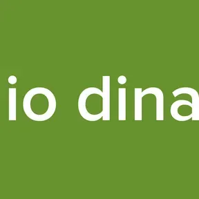 Radio dinamik