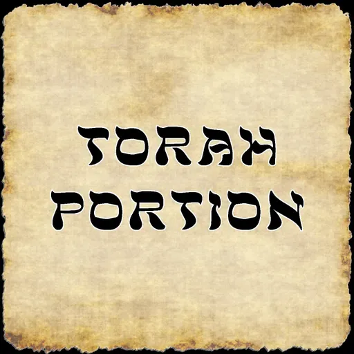 Torah Portion for 11/29/2025