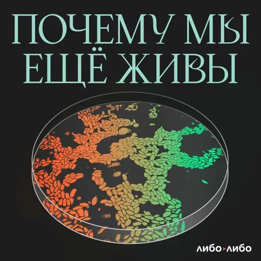 Опрос слушателей подкаста «Почему мы ещё живы»