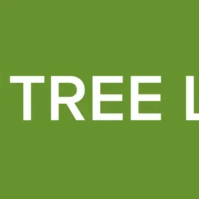 BIG TREE LIVE
