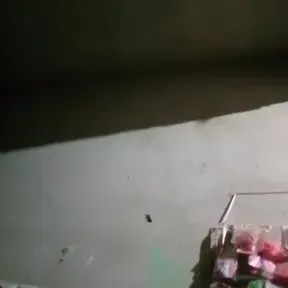 Felicidades