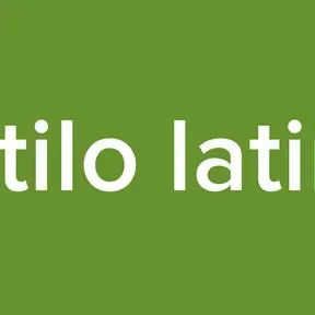 estilo latino