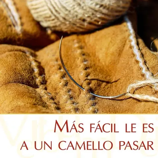 508 Lunes VIII Ordinario Ciclo C 2