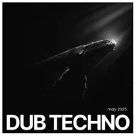 dj Shabby - May 2025 Dub Techno Mix
