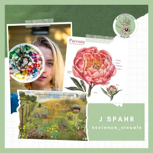 126. Science Illustration, AI Cardinals, and Frozen Asters w/ J. Spahr