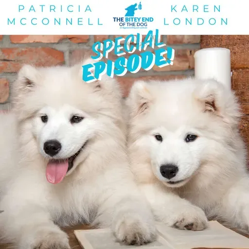 Laughter, Lessons, and Legends. A special episode with Patricia McConnell and Karen London