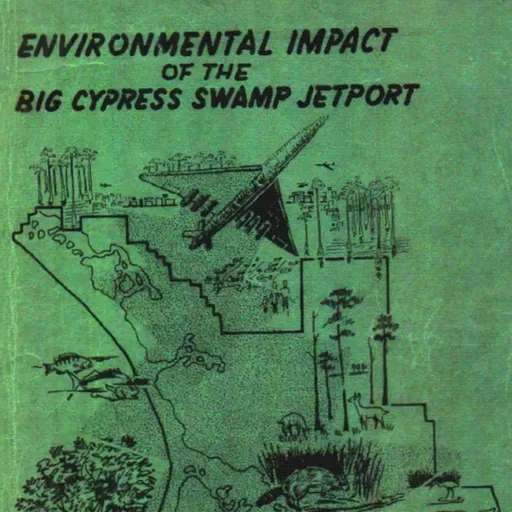 Alligator Alcatraz (Auschwitz) Concentration Camp Environmental Issues and Everglades Jetport History