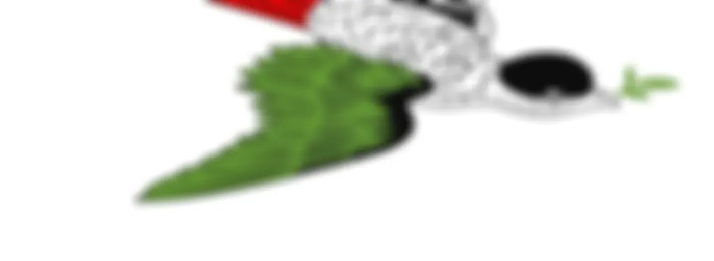 Università Estiva Ecosocialista - 1ma  e 2da Edizione