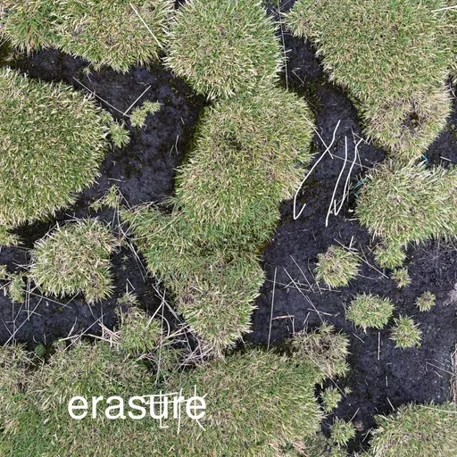 erasure