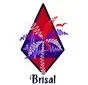 Brisal y Mas Radio Online