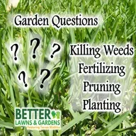 S2 Ep437: Better Lawns and Gardens - Hour 2 Spring Garden Chores March 21, 2026