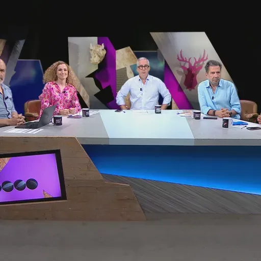 Nepotismo (imaginário), discriminação positiva de 'locals', atualizações e influenciadores