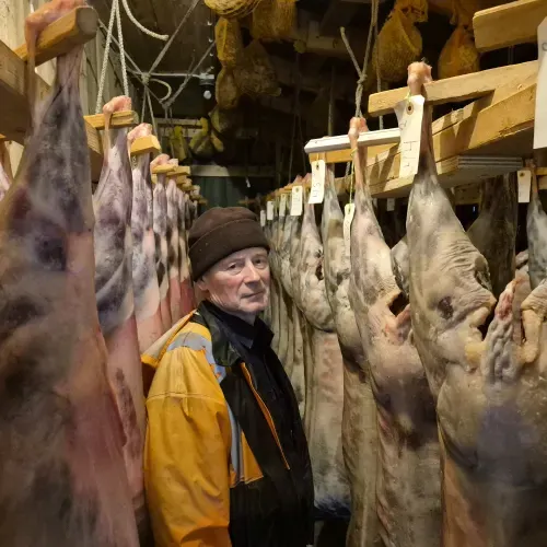 Við Tórði á túri nú heystfjøllini í Tjørnuvík eru gingin