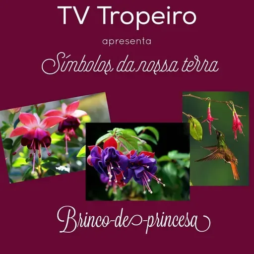 Símbolos de Nossa Terra - Brinco de Princesa