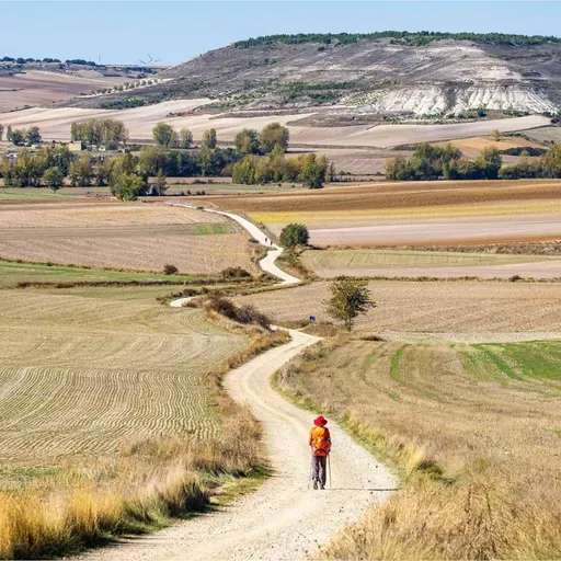 Pilgrimage to Perseverance ~ Hebrews 12:1-3