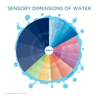 96 水，到底什么味儿？