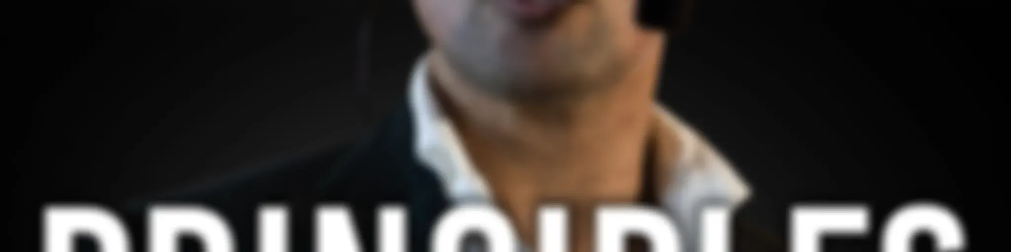 Principles by MJ LOPEZ