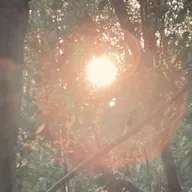 Morning and evening practice