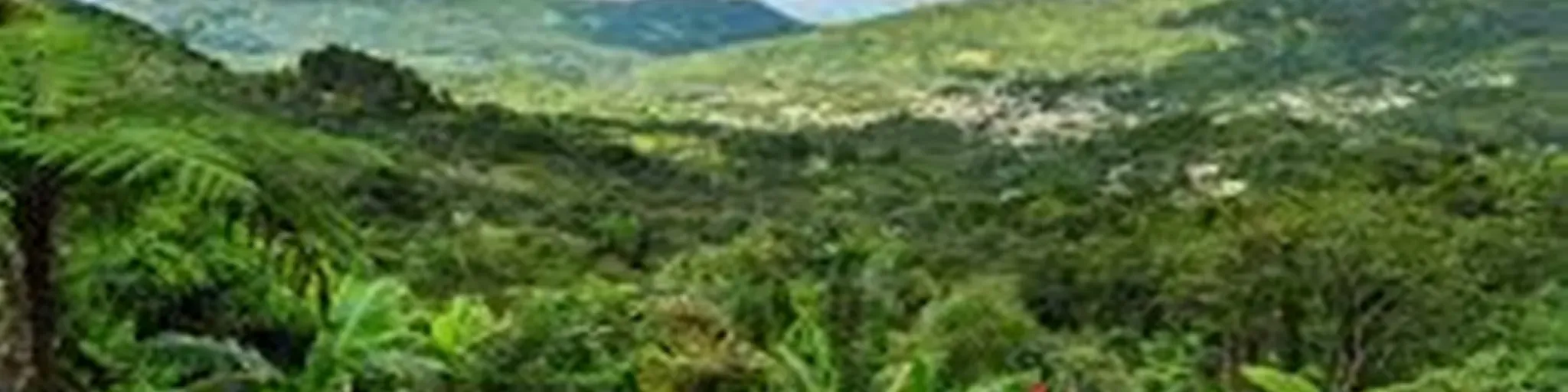 ADJUNTAS RADIO