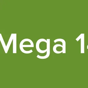 La Mega 1410