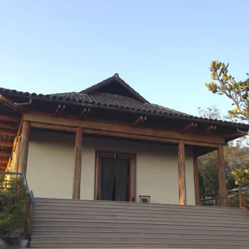 Meditation: The First Steps - Swami Mahayogananda