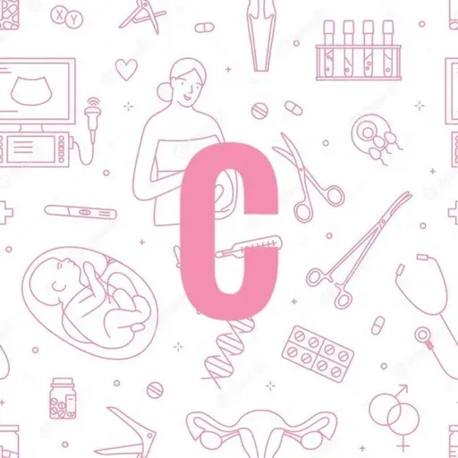 Reflexión sobre el cuerpo y la maternidad