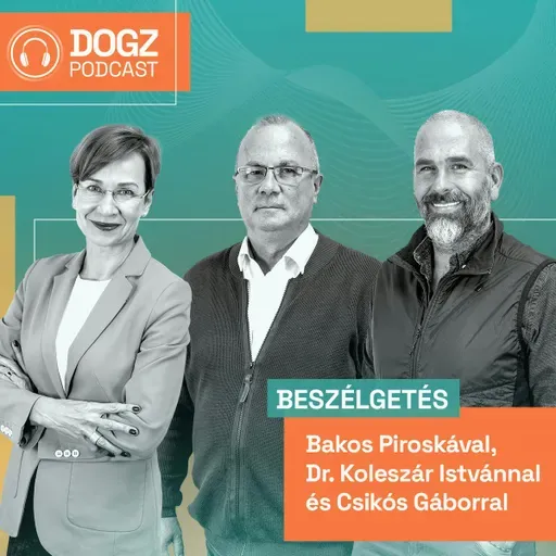 Biztonságban szilveszterkor - szakértők tanácsai az év utolsó napjára