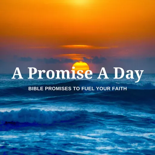 Why Trusting God Changes Everything
