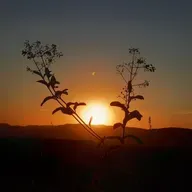 quer ter mais força, se esforce