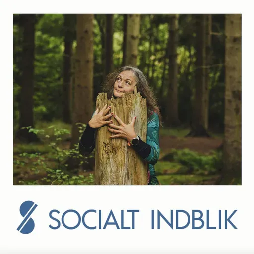 Artikel: Psykiatrien har lukket døren til det, der virker. Nu vil forsker åbne den igen